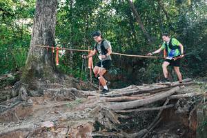 BIB: 
                            <button type="button" onclick="openModal(27305160)" class="btn btn-primary btn-sm float-right btn-popup" data-toggle="modal" data-target=".modal-high-quality">
                        <i class="fas fa-shopping-cart"></i> Add to Cart
                    </button>
                                            <button type="button" onclick="isThisMe(27305160, true)" class="btn btn-success btn-sm float-right btn-popup btn-isme hidden" data-toggle="tooltip" data-placement="bottom" title="นี่คือรูปของคุณใช่ไหม คลิกที่นี่เพื่อเอาเข้าอัลบั้ม">
                        <i class="fas fa-plus"></i> Add to album
                    </button>
                    <button type="button" onclick="isThisMe(27305160, false)" class="btn btn-warning btn-sm float-right btn-popup btn-isnotme hidden">
                        <i class="fas fa-ban"></i> Remove from album
                    </button>